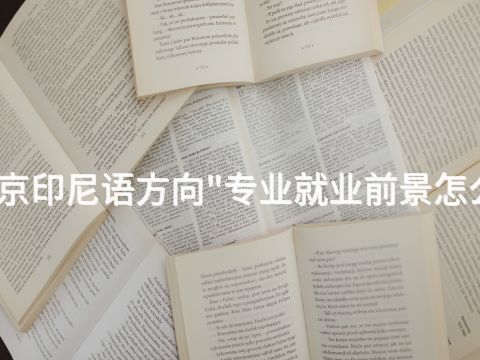 北京印尼语方向"专业就业前景怎么样