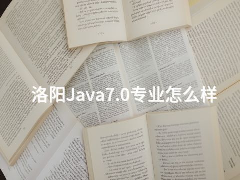 洛阳Java7.0专业怎么样