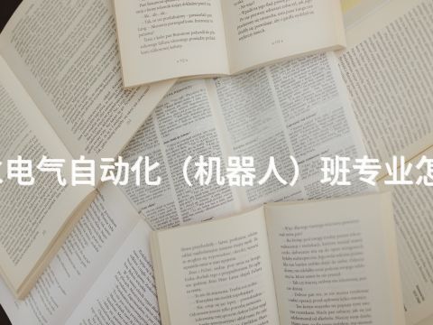 衡水电气自动化（机器人）班专业怎么样