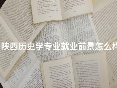 陜西歷史學專業就業前景怎么樣