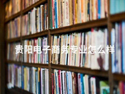 贵阳电子商务专业怎么样