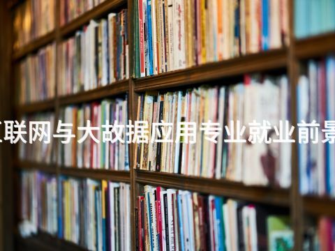山西互联网与大故据应用专业就业前景怎么样