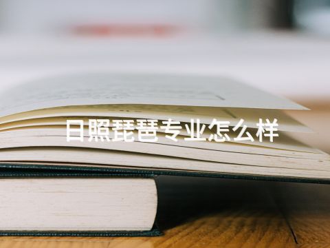 日照琵琶专业怎么样(图1) 日照琵琶专业怎么样(图1)
