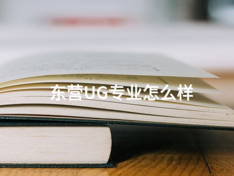 东营UG专业怎么样