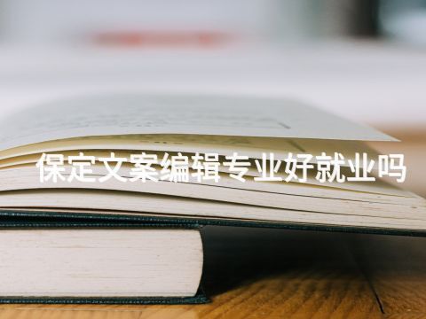 保定文案編輯專業好就業嗎