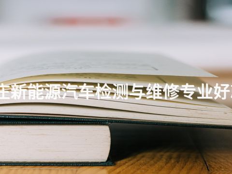 石家庄新能源汽车检测与维修专业好就业吗(图1)