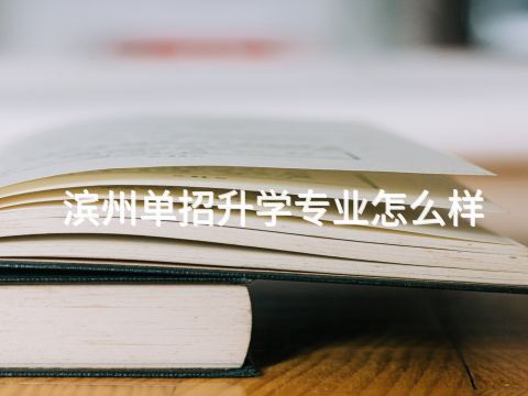 滨州单招升学专业怎么样