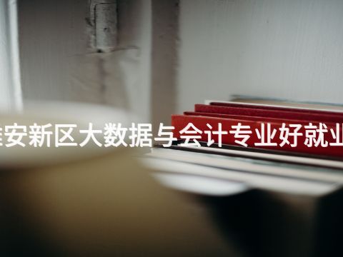 雄安新区大数据与会计专业好就业吗