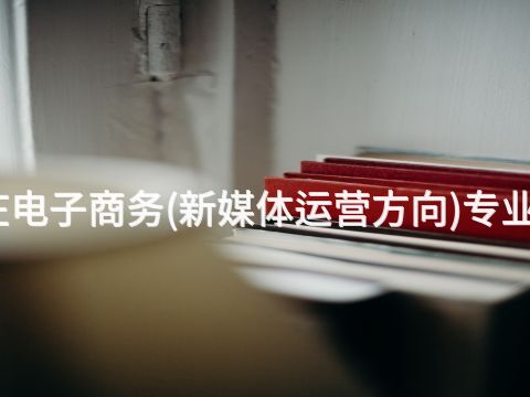 石家莊電子商務(新媒體運營方向)專業怎么樣