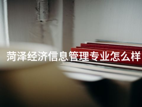 菏泽经济信息管理专业怎么样(图1)