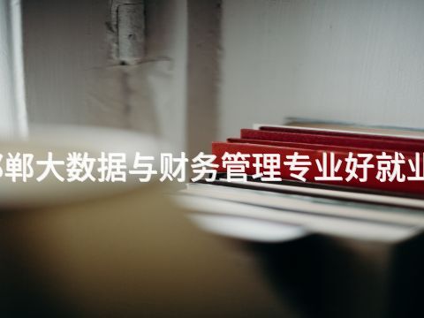 邯郸大数据与财务管理专业好就业吗