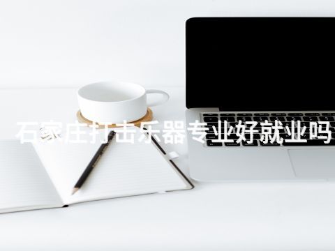 石家庄打击乐器专业好就业吗(图1)