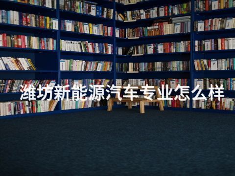 潍坊新能源汽车专业怎么样