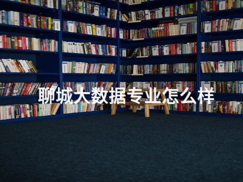 聊城大数据专业怎么样
