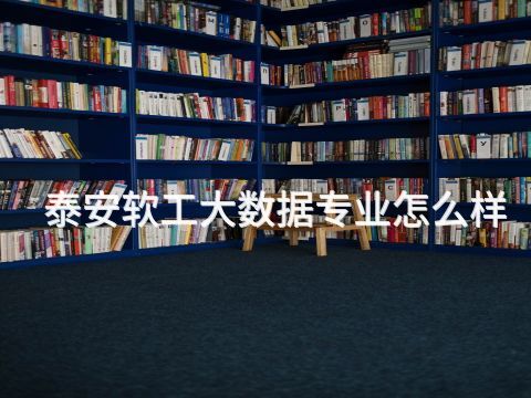 泰安软工大数据专业怎么样(图1) 泰安软工大数据专业怎么样(图1)