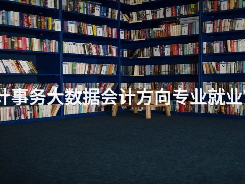 张家口会计事务大数据会计方向专业就业前景怎么样