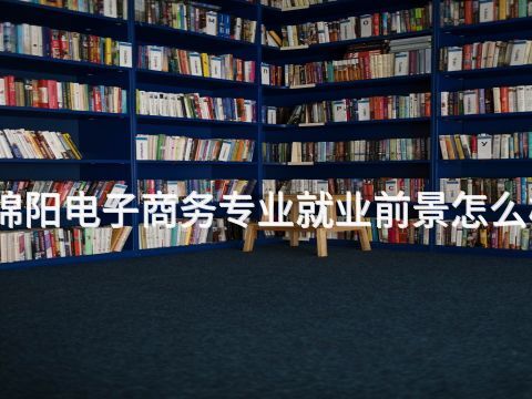 綿陽電子商務專業就業前景怎么樣
