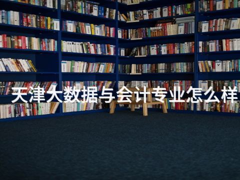 天津大数据与会计专业怎么样