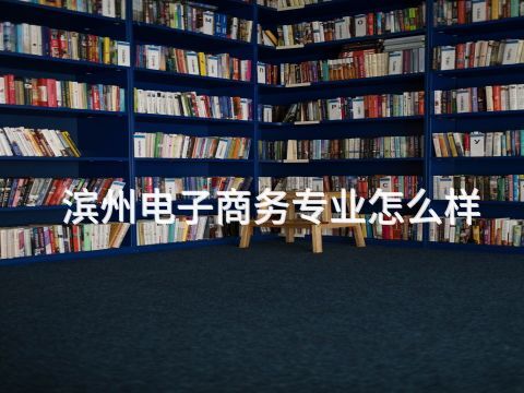 滨州电子商务专业怎么样