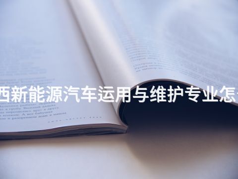 山西新能源汽车运用与维护专业怎么样