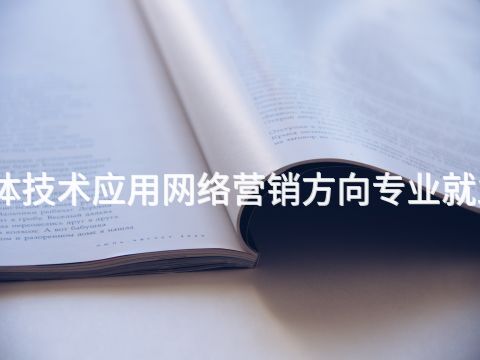 開封數字媒體技術應用網絡營銷方向專業就業前景怎么樣