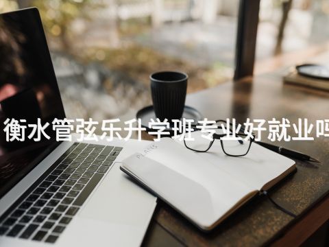衡水管弦乐升学班专业好就业吗