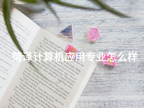 菏澤計算機應用專業怎么樣(圖1) 菏澤計算機應用專業怎么樣(圖1)