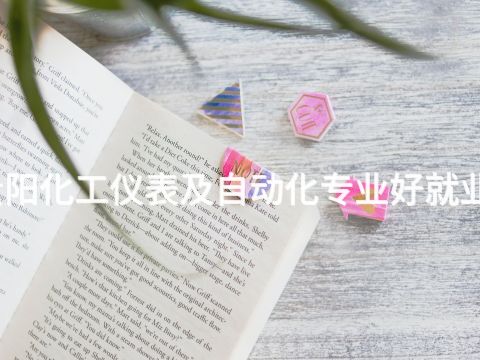 贵阳化工仪表及自动化专业好就业吗