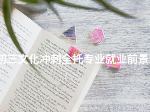 北京初三文化冲刺全托专业就业前景怎么样(图1) 北京初三文化冲刺全托专业就业前景怎么样(图1)