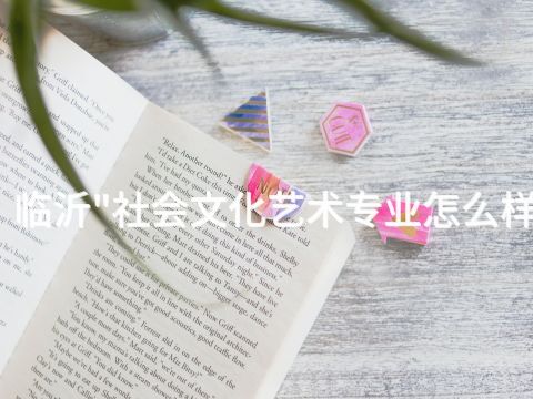 临沂"社会文化艺术专业怎么样(图1) 临沂"社会文化艺术专业怎么样(图1)