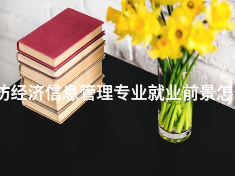 潍坊经济信息管理专业就业前景怎么样