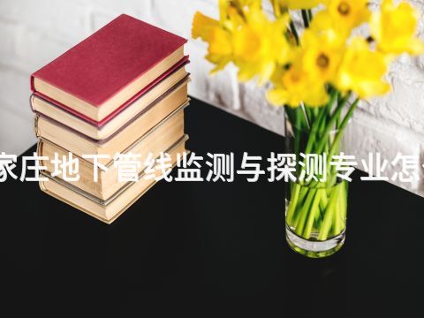 石家庄地下管线监测与探测专业怎么样(图1) 石家庄地下管线监测与探测专业怎么样(图1)