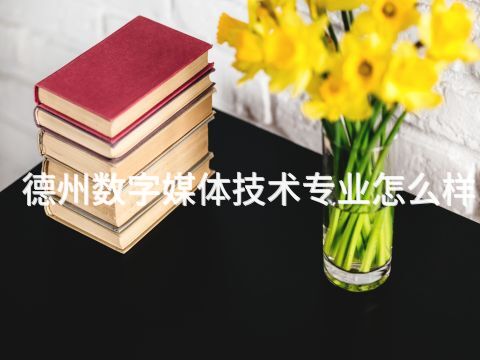 德州数字媒体技术专业怎么样(图1) 德州数字媒体技术专业怎么样(图1)