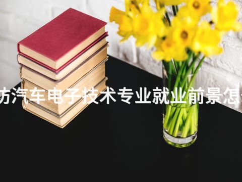 廊坊汽车电子技术专业就业前景怎么样(图1) 廊坊汽车电子技术专业就业前景怎么样(图1)
