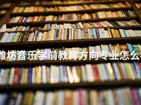 潍坊音乐学前教育方向专业怎么样