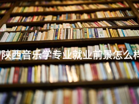 陜西音樂學專業就業前景怎么樣