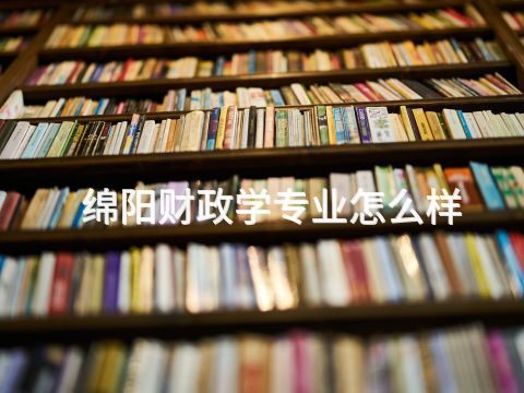 绵阳财政学专业怎么样