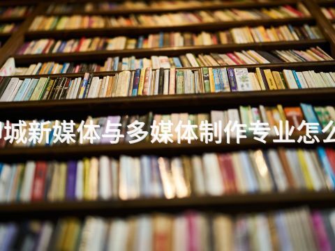 聊城新媒体与多媒体制作专业怎么样