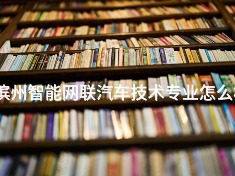 滨州智能网联汽车技术专业怎么样