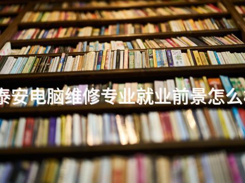 泰安电脑维修专业就业前景怎么样(图1) 泰安电脑维修专业就业前景怎么样(图1)