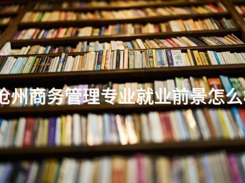 滄州商務管理專業就業前景怎么樣