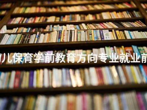 张家口幼儿保育学前教育方向专业就业前景怎么样
