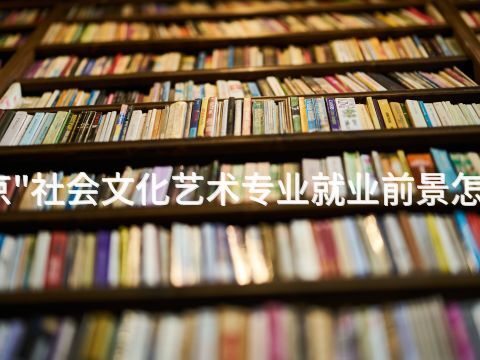 北京"社会文化艺术专业就业前景怎么样