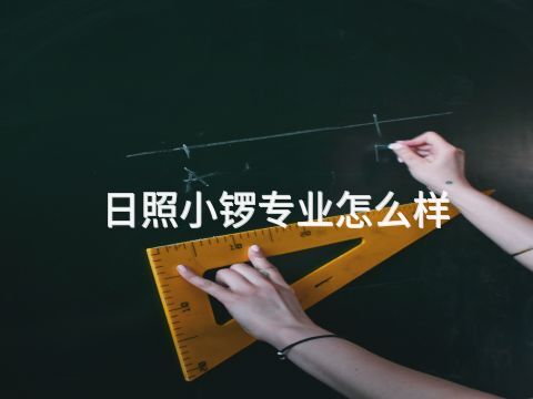 日照小锣专业怎么样