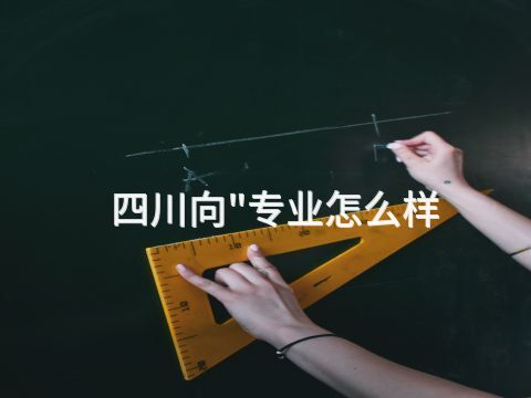 四川向"专业怎么样(图1) 四川向"专业怎么样(图1)