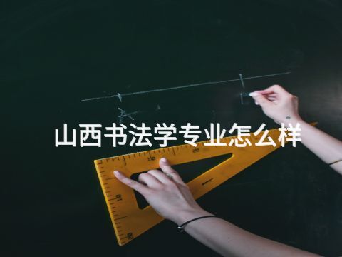 山西书法学专业怎么样