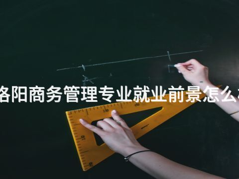 洛阳商务管理专业就业前景怎么样