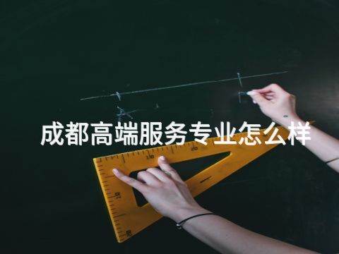 成都高端服务专业怎么样
