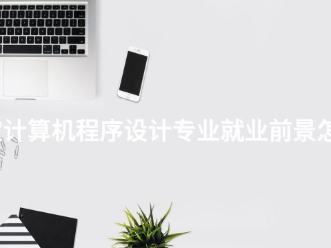 保定計算機程序設(shè)計專業(yè)就業(yè)前景怎么樣