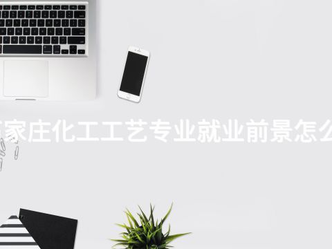石家庄化工工艺专业就业前景怎么样(图1) 石家庄化工工艺专业就业前景怎么样(图1)